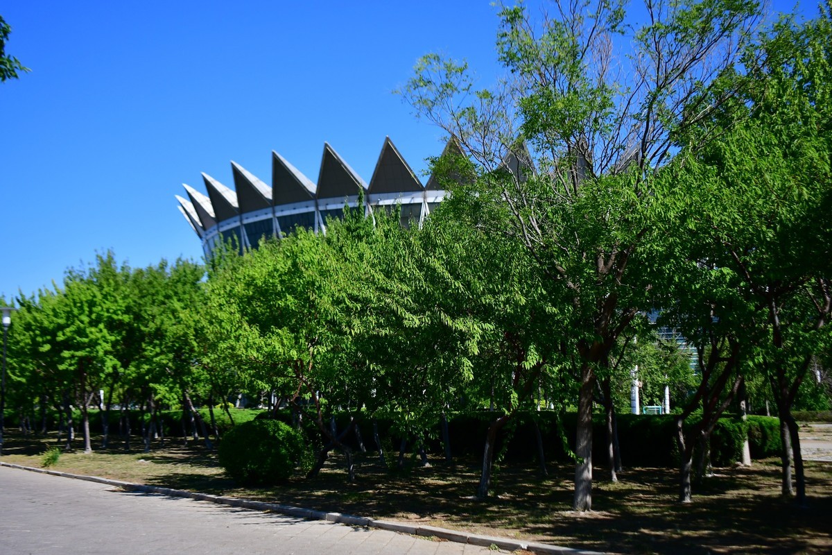 夏日里的绿意浓浓