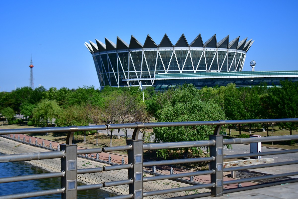 夏日里的绿意浓浓