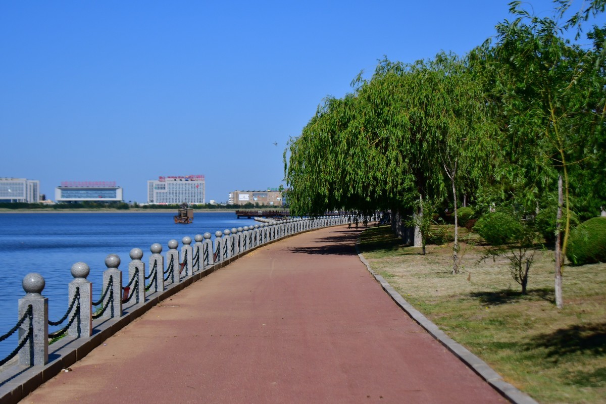 夏日里的绿意浓浓