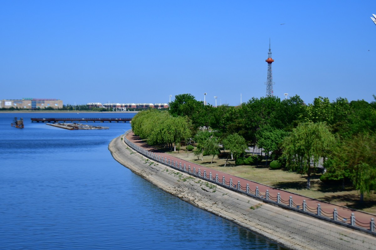 夏日里的绿意浓浓