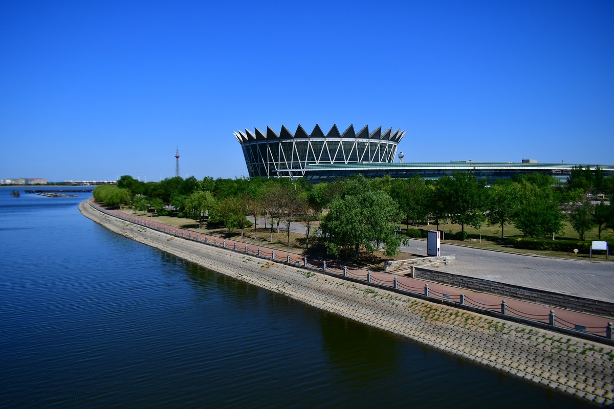 夏日里的绿意浓浓