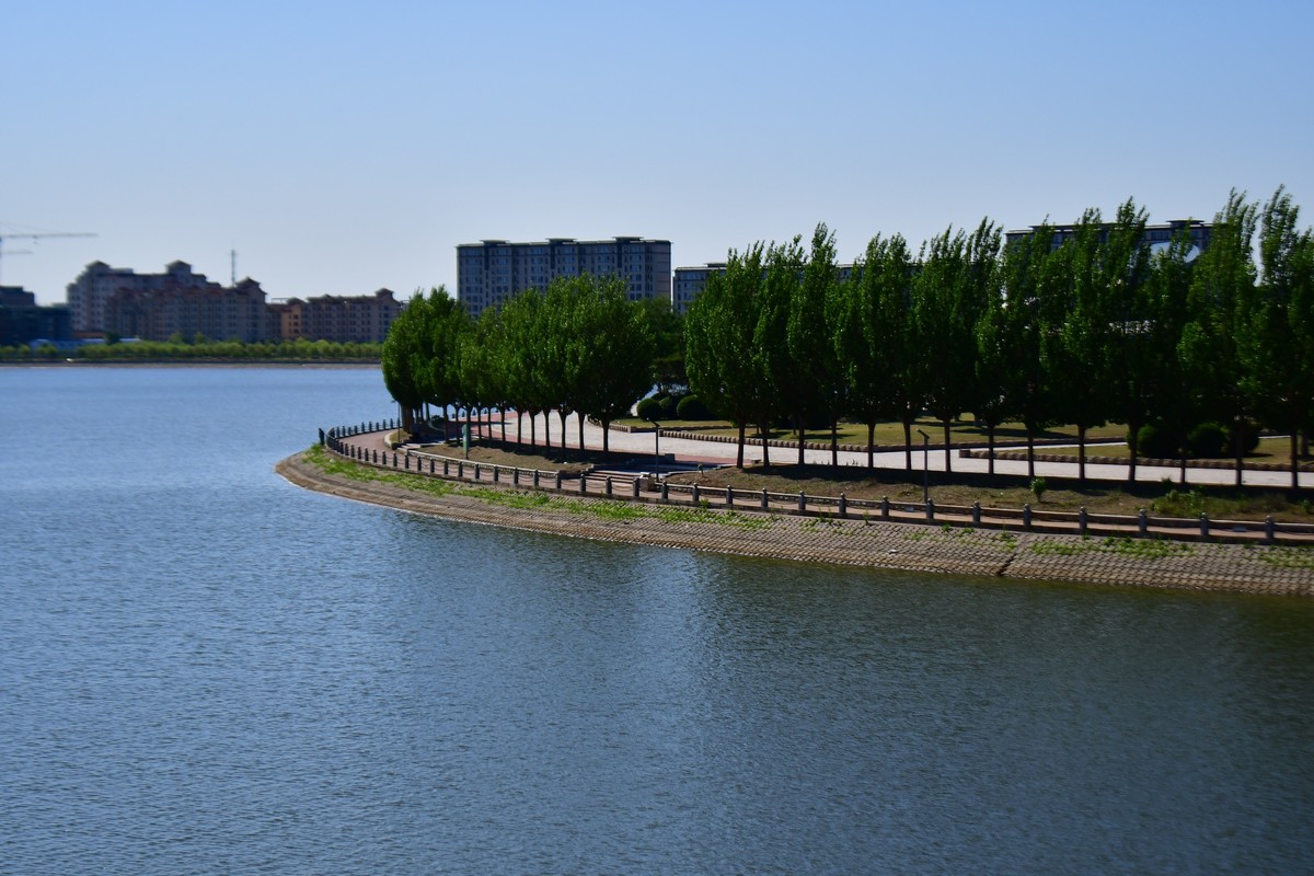 夏日里的绿意浓浓