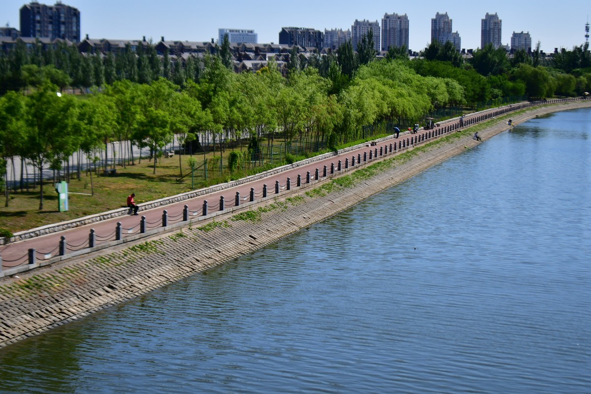 夏日里的绿意浓浓