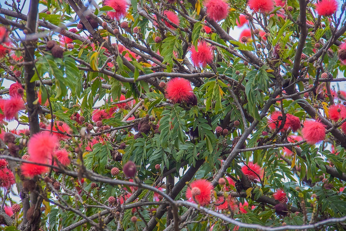 2025-06-07云南玉溪聂耳公园（二）