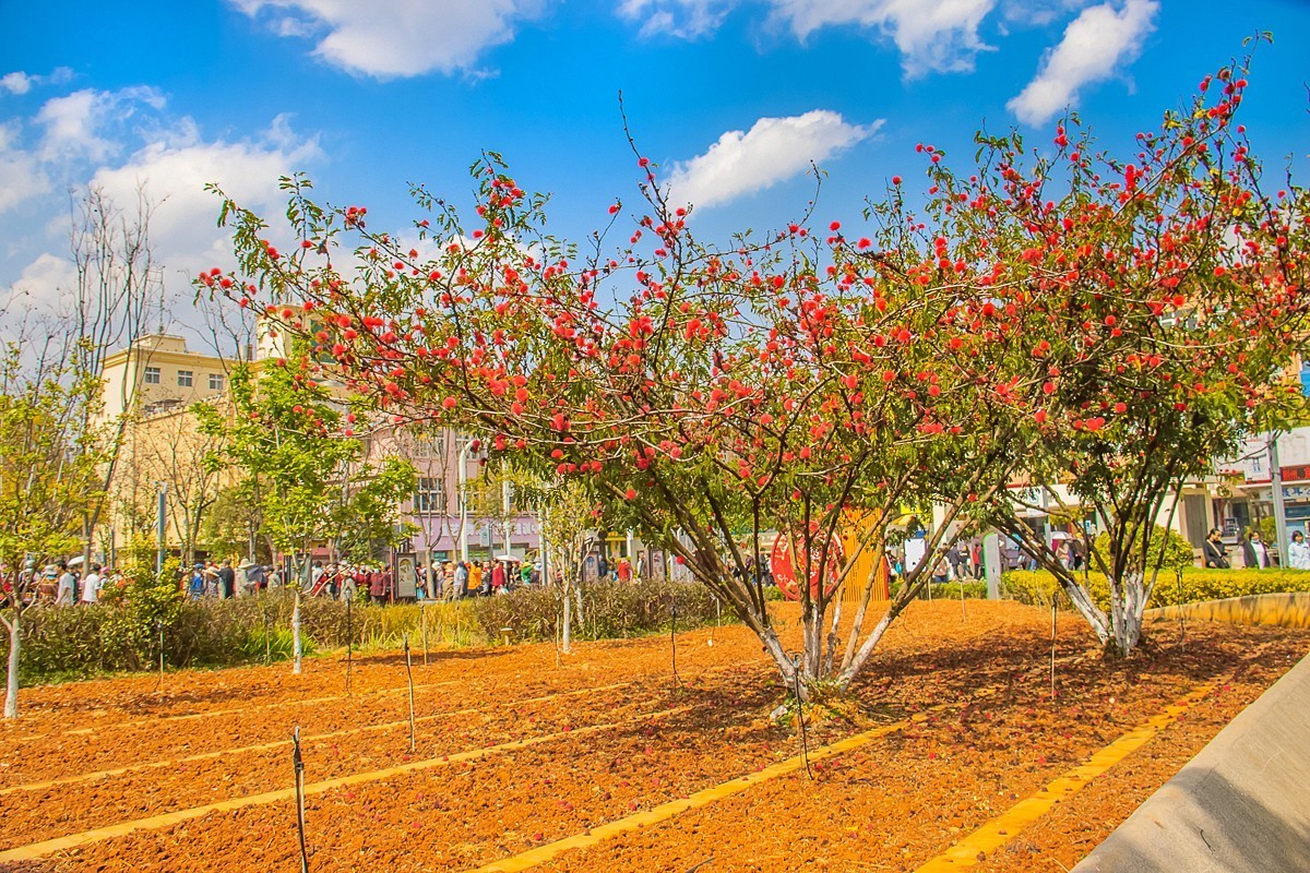 2025-06-07云南玉溪聂耳公园（二）