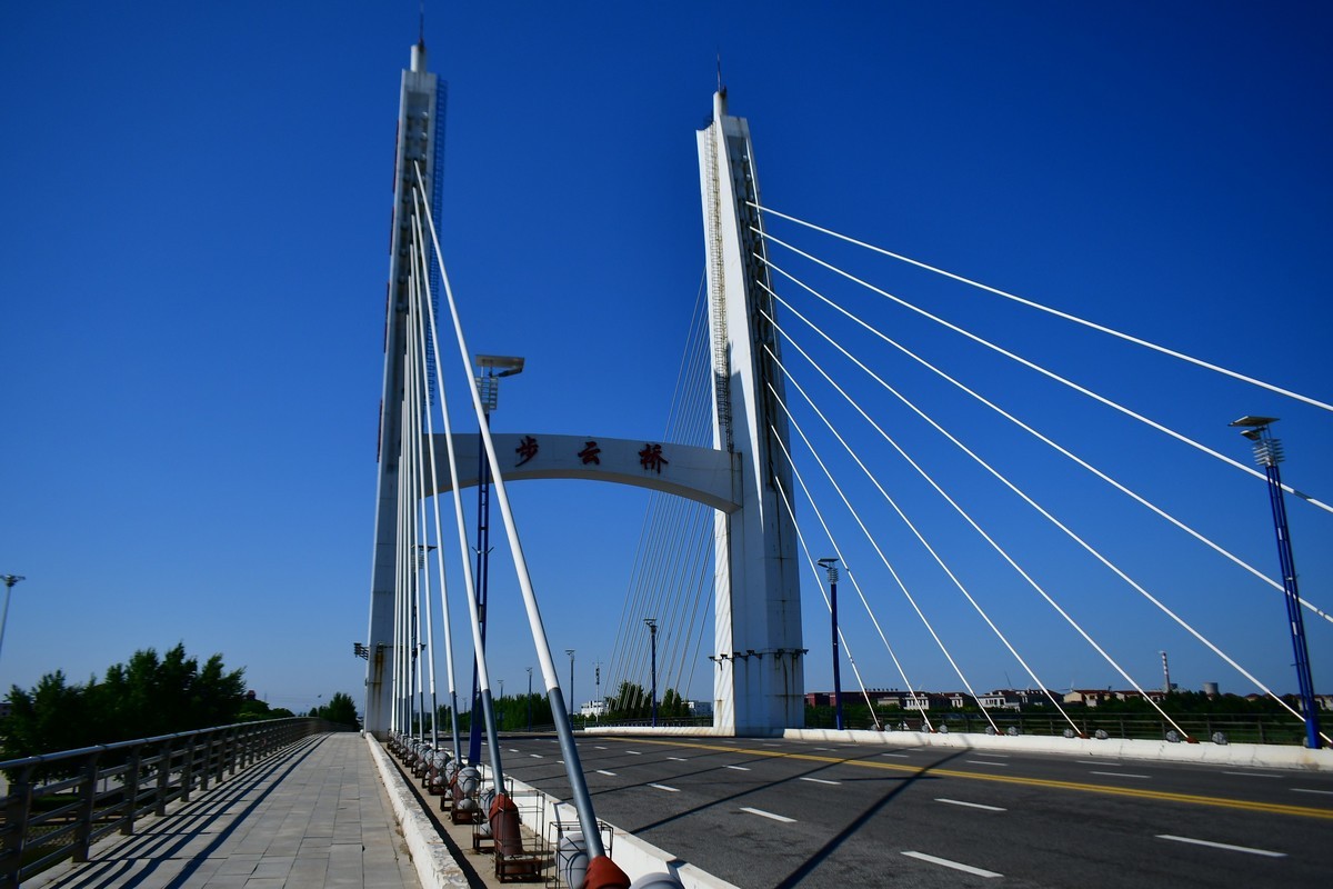 夏日里的绿意浓浓