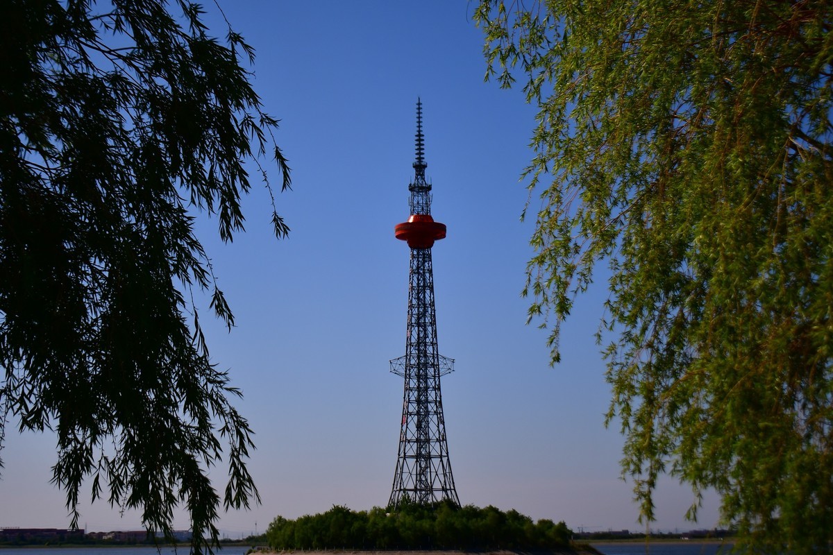 夏日里的绿意浓浓