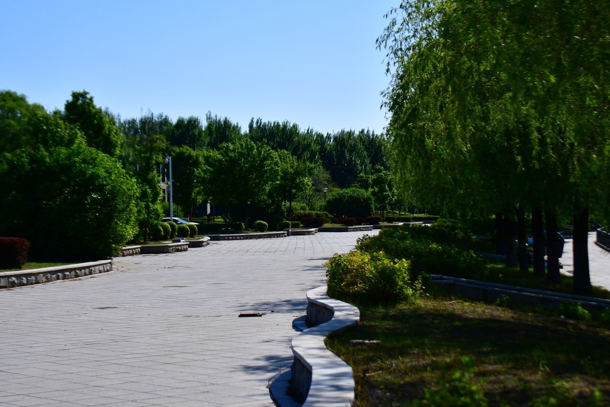 夏日里的绿意浓浓