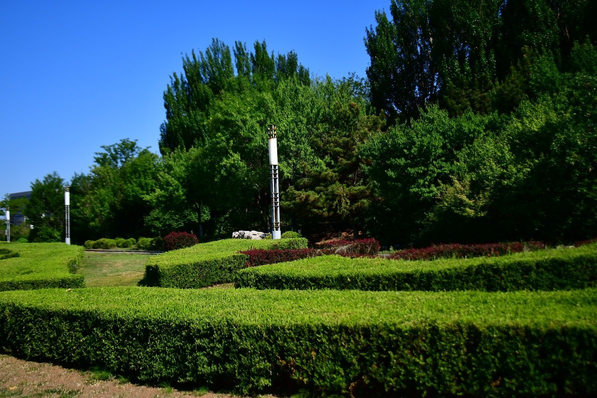夏日里的绿意浓浓