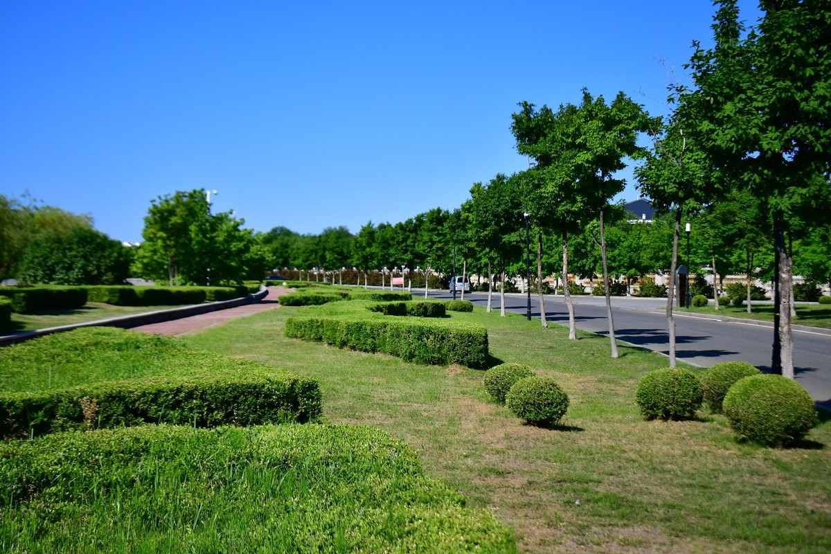 夏日里的绿意浓浓