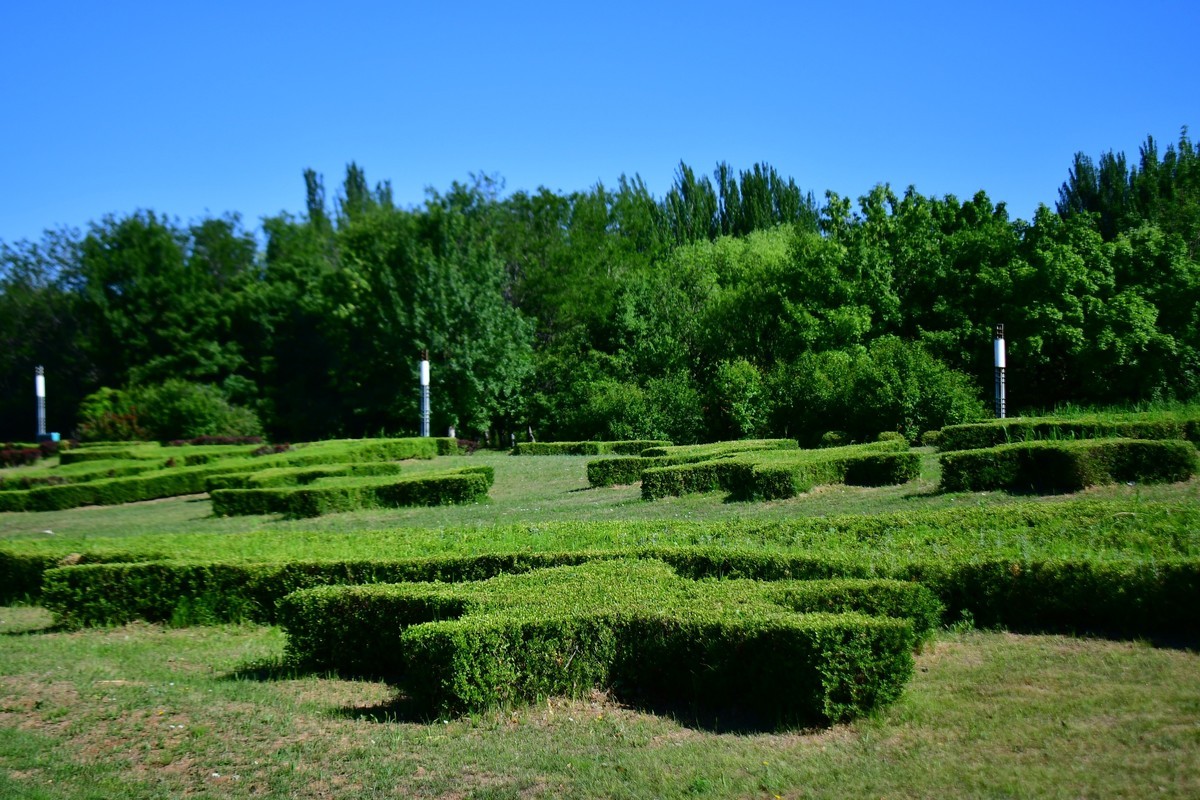 夏日里的绿意浓浓