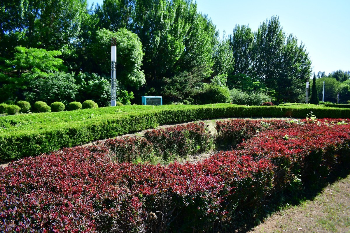 夏日里的绿意浓浓