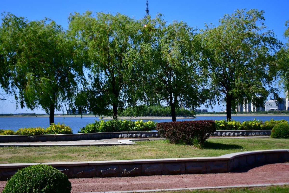 夏日里的绿意浓浓