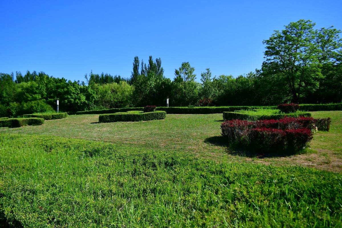 夏日里的绿意浓浓