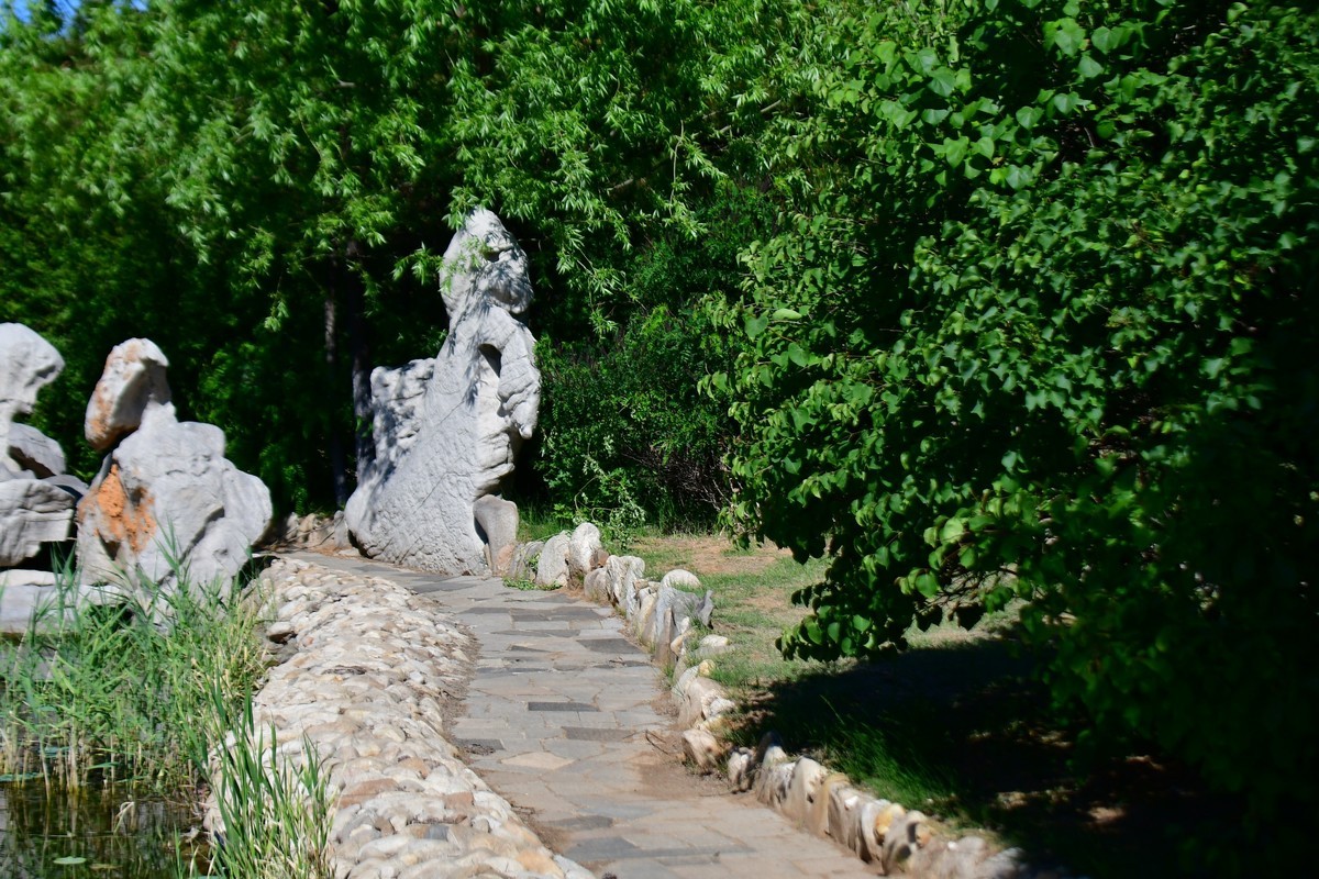 夏日里的绿意浓浓