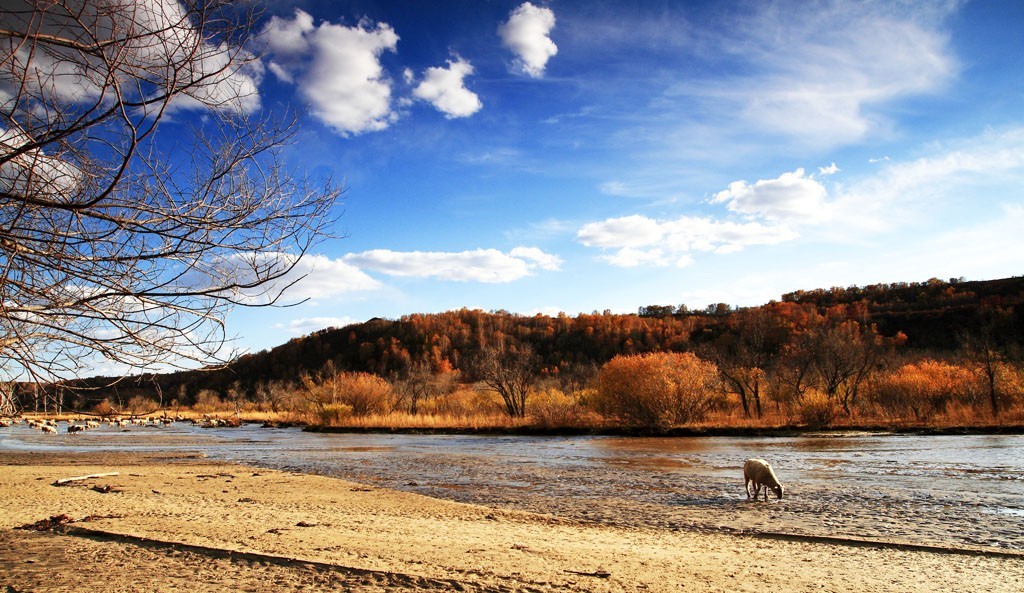 最美草原看吧上