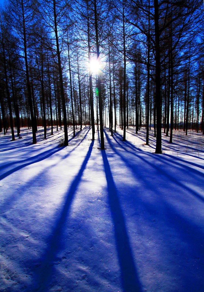 最美草原看吧上