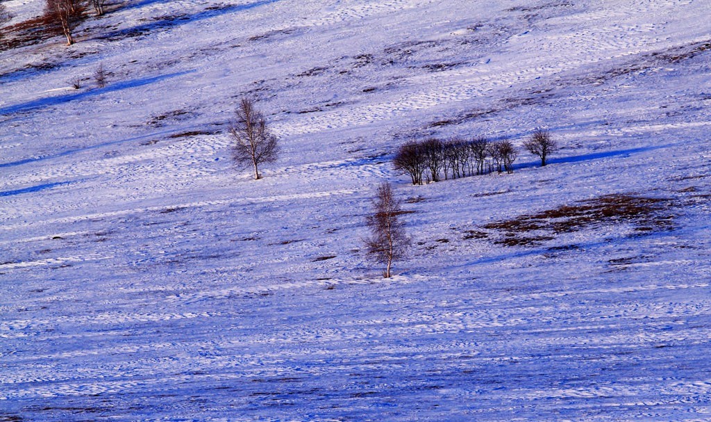 最美草原看吧上