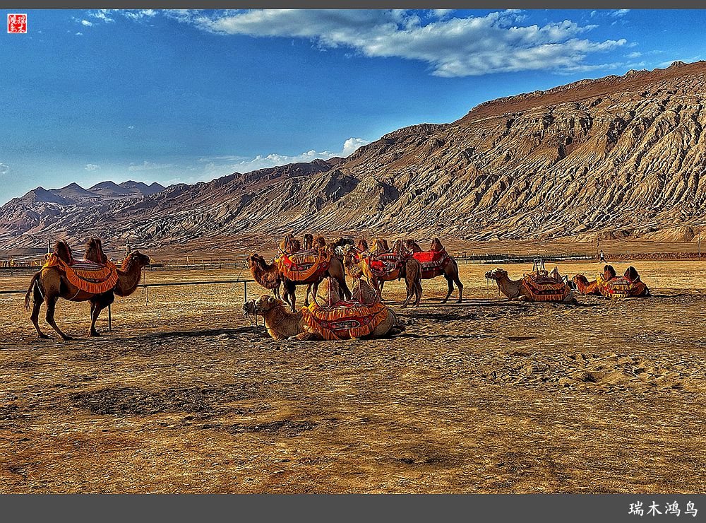 【魅力新疆行】14.炎热难当火焰山