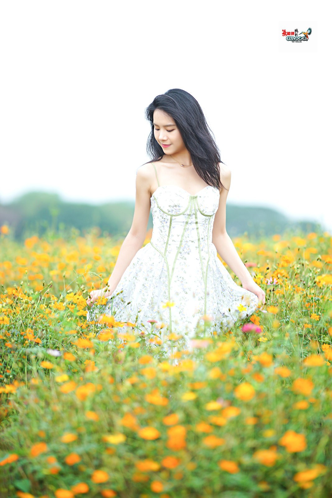 【花海阳光少女】---淑霖