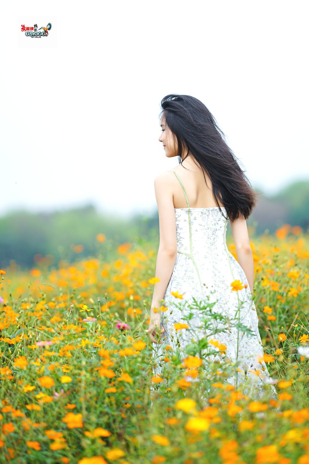 【花海阳光少女】---淑霖