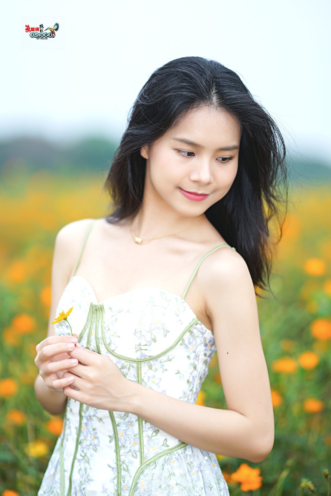 【花海阳光少女】---淑霖