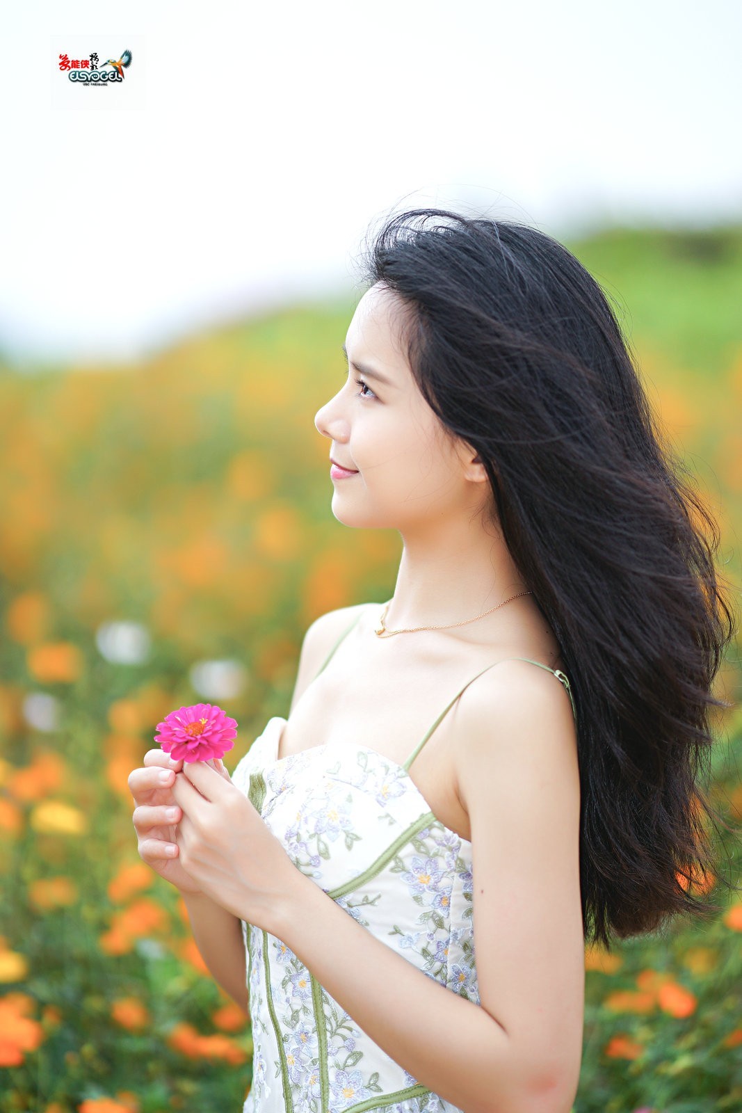 【花海阳光少女】---淑霖