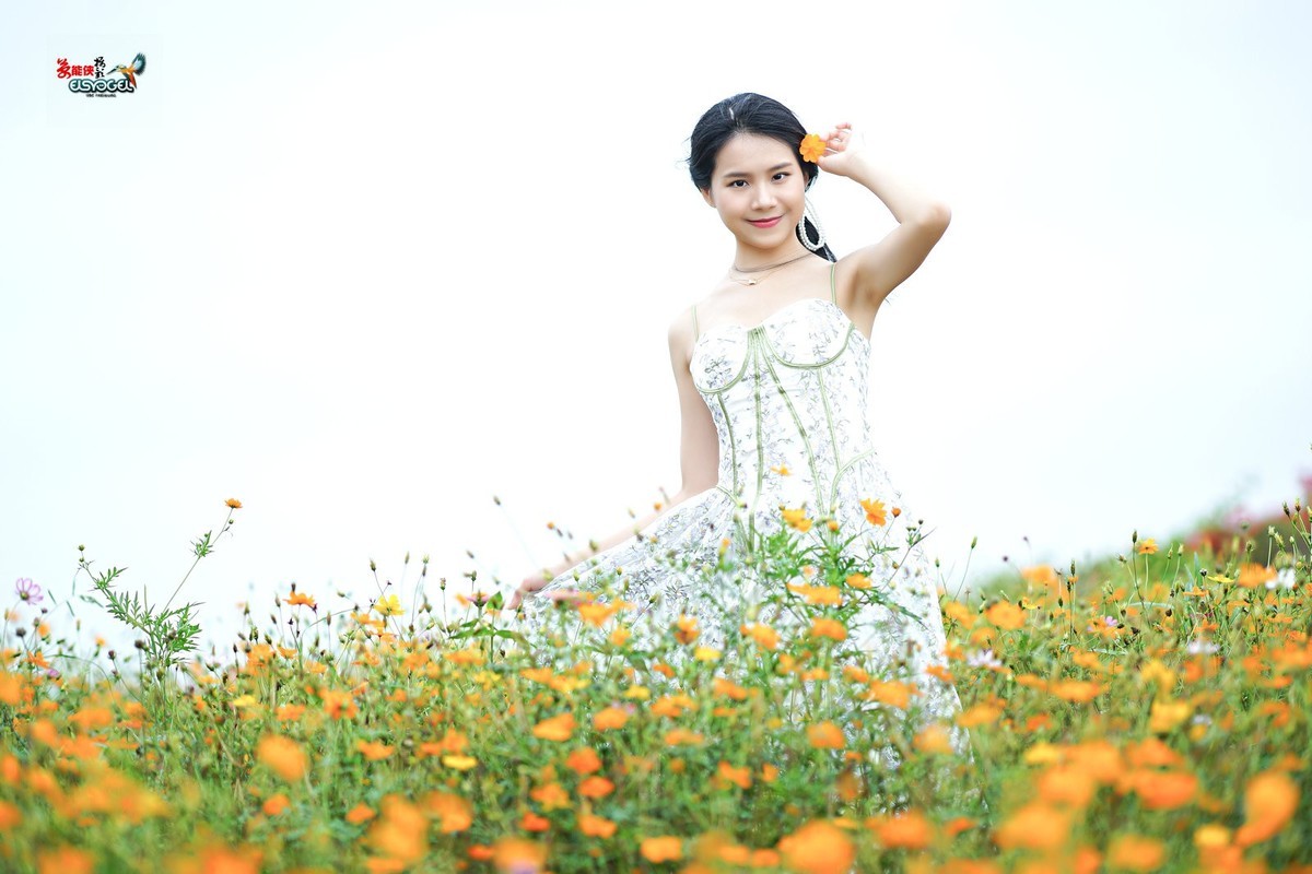 【花海阳光少女】---淑霖