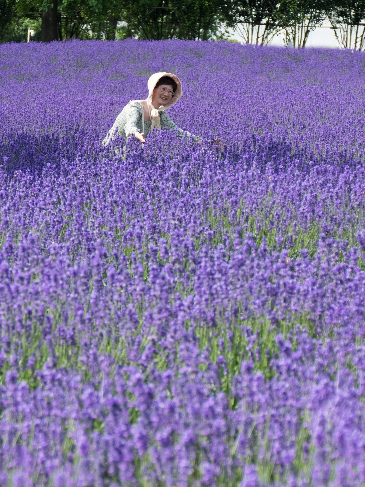 上海薰衣草公园（1）