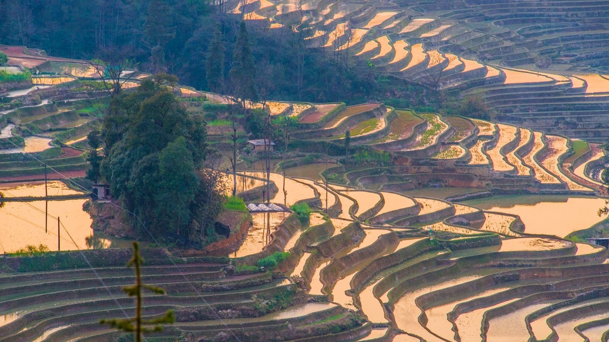 元 阳 、 元 阳 ------ 坝 达 梯 田 （ 九 ）