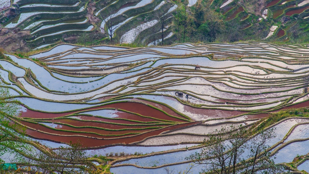 元 阳 、 元 阳 ------ 坝 达 梯 田 （ 九 ）
