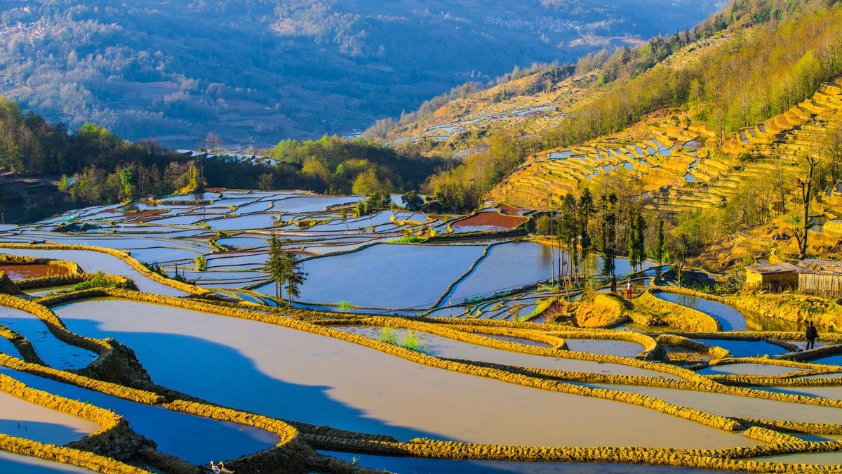 元 阳 、 元 阳 ------ 坝 达 梯 田 （ 九 ）