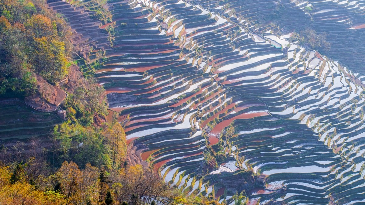 元 阳 、 元 阳 ------ 坝 达 梯 田 （ 九 ）