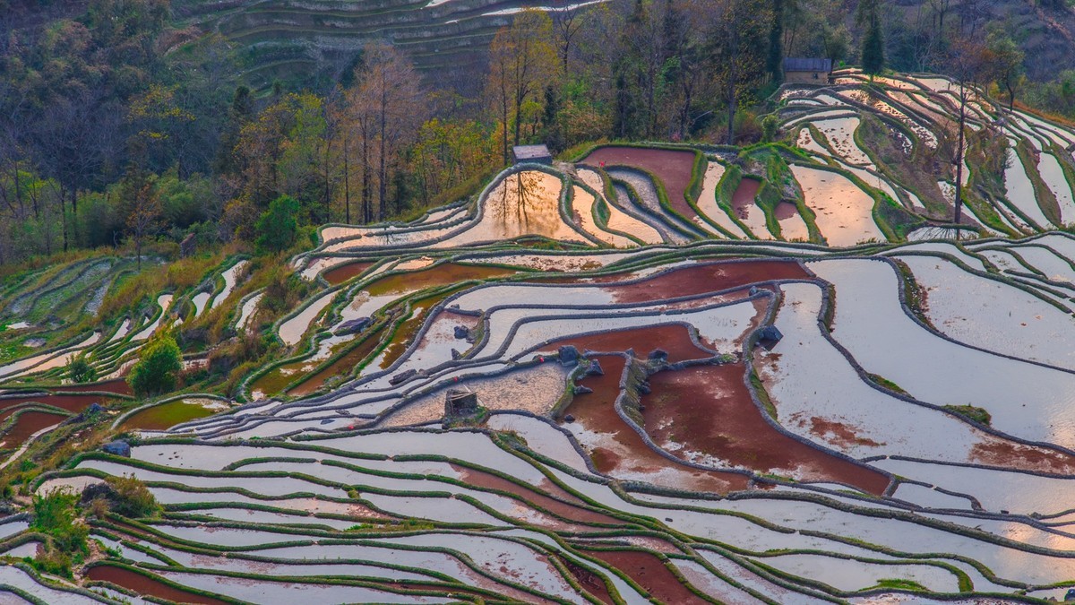 元 阳 、 元 阳 ------ 坝 达 梯 田 （ 九 ）
