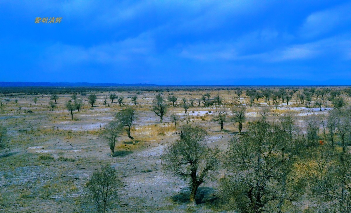 早春北疆之旅（102）：路遇胡杨林—1