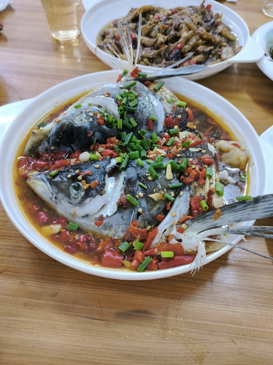 2024夏 海南环岛行（182）在梧州吃西江鱼