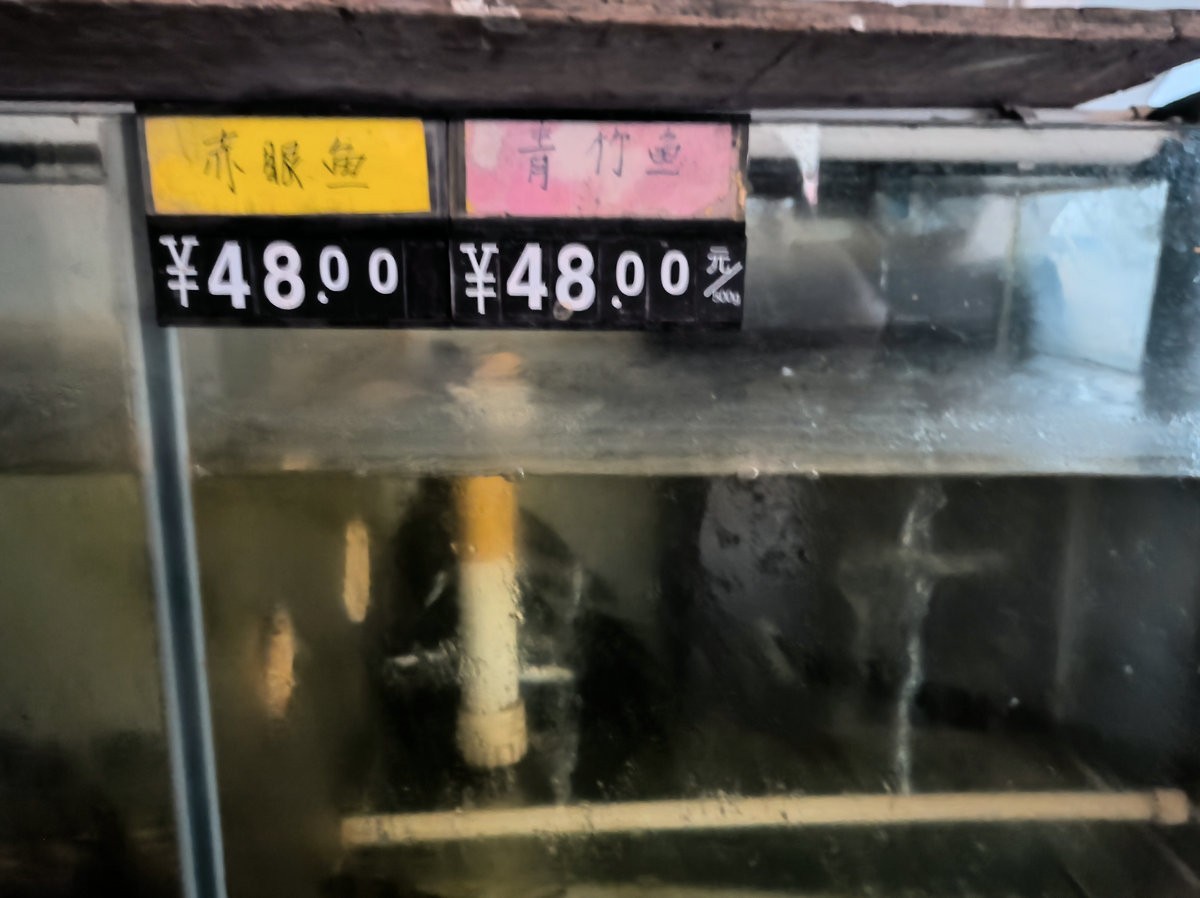 2024夏 海南环岛行（182）在梧州吃西江鱼