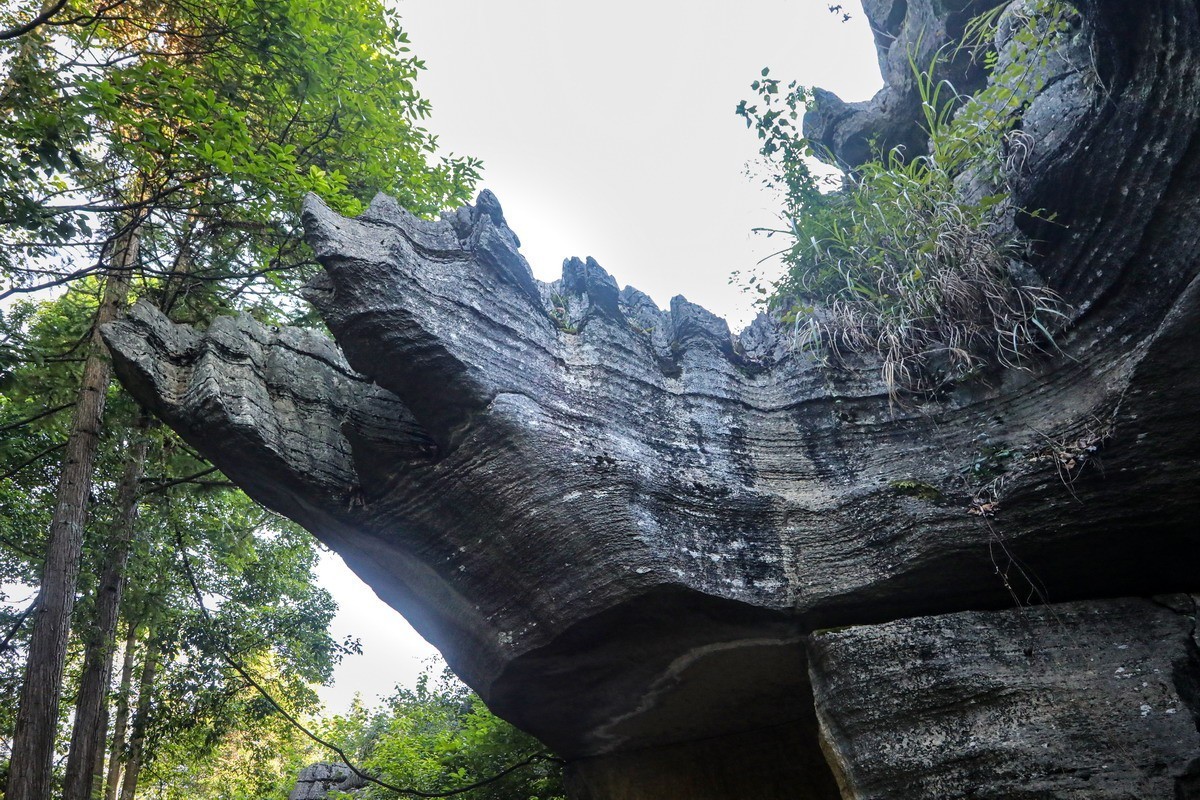 恩施梭布亚石林1----青龙台2