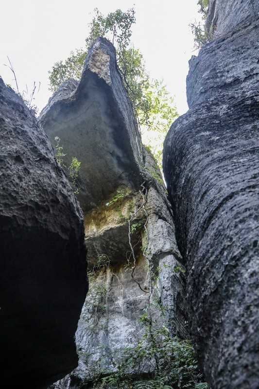 恩施梭布亚石林1----青龙台2