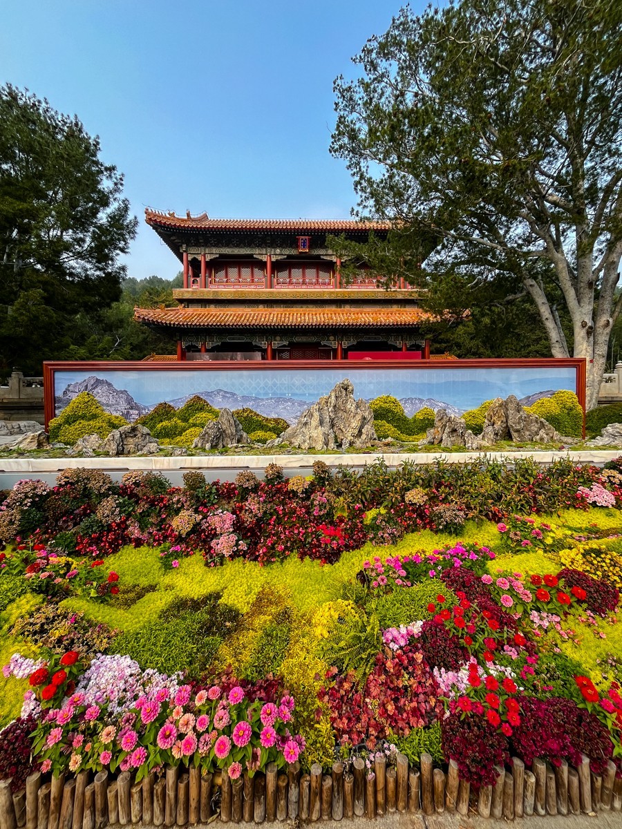 2024年第0850贴-京城秋景纪实游拍（1111）