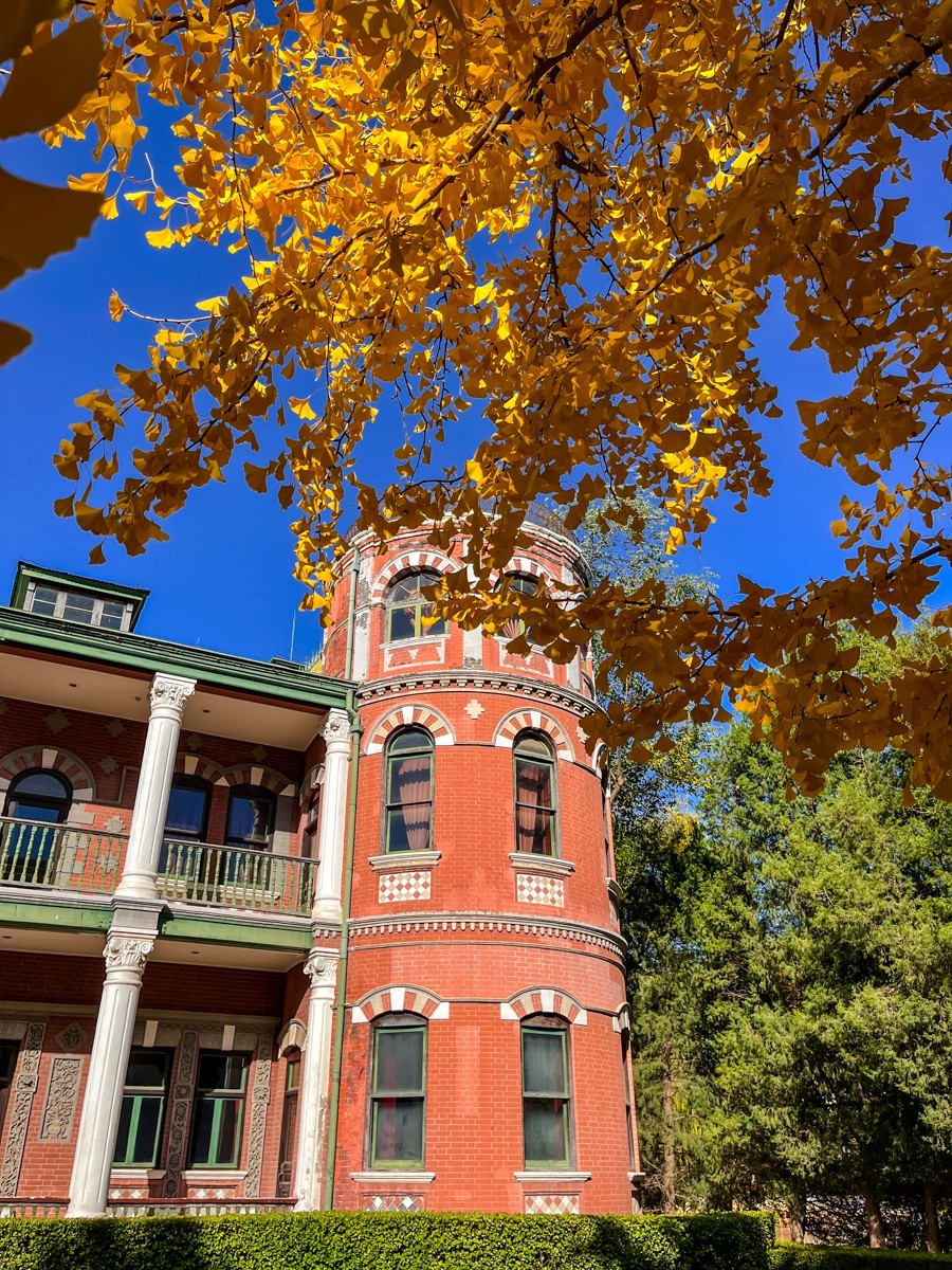 2024年第0850贴-京城秋景纪实游拍（1111）