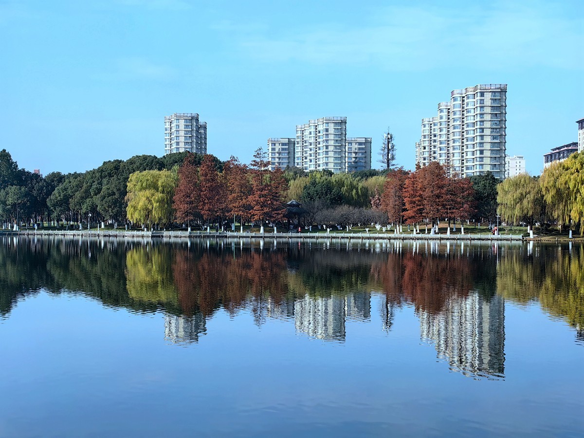冬日里的宁波日湖公园（1）