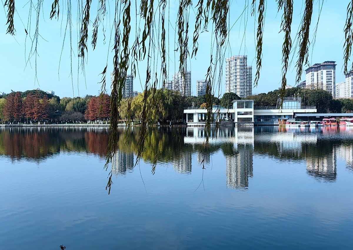 冬日里的宁波日湖公园（1）