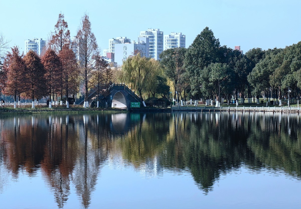 冬日里的宁波日湖公园（1）