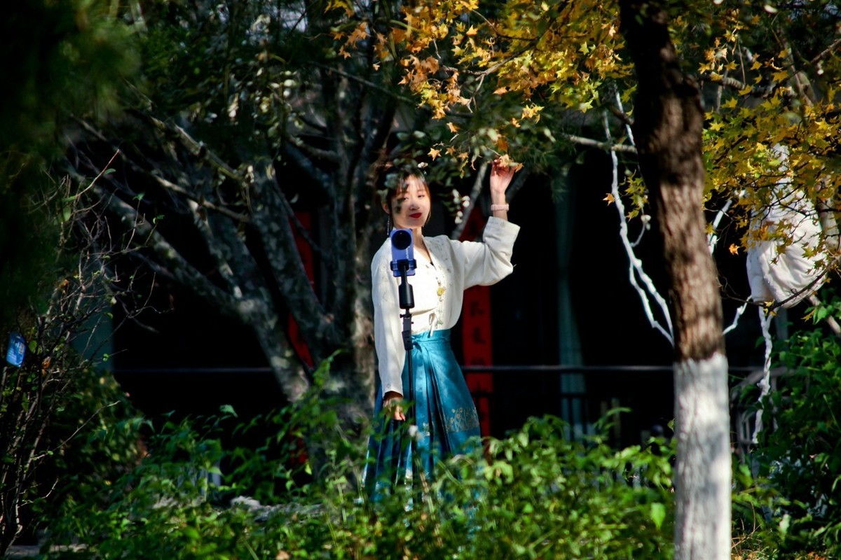 初冬——公园抓拍