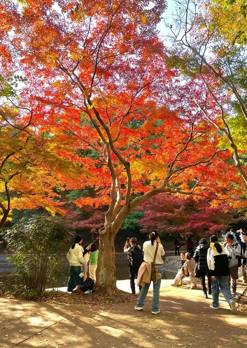 烈士公园3