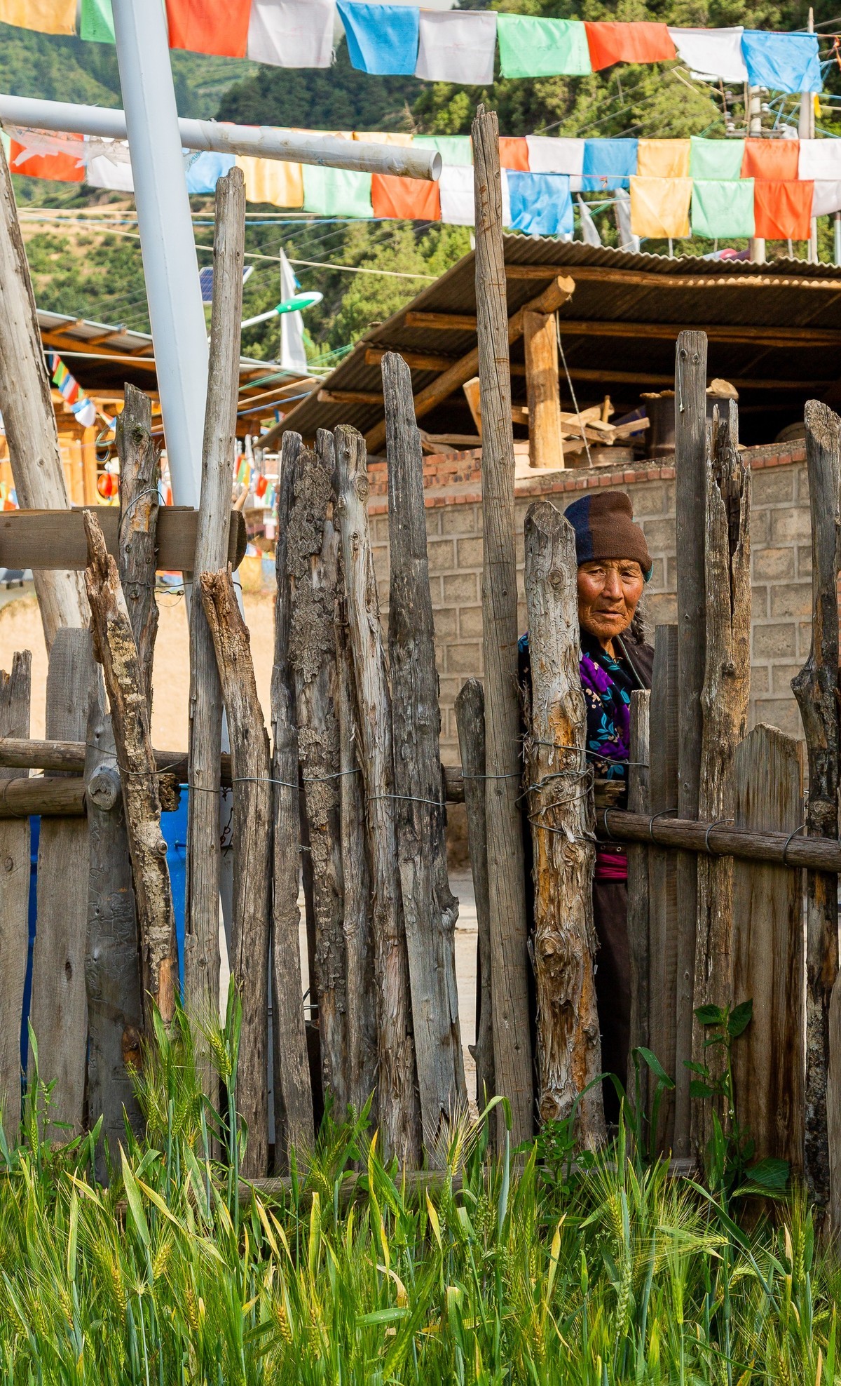 大山深处的藏族同胞