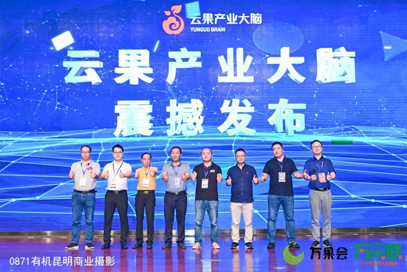 能力得到提升，鄙人有幸进场拍万果会！