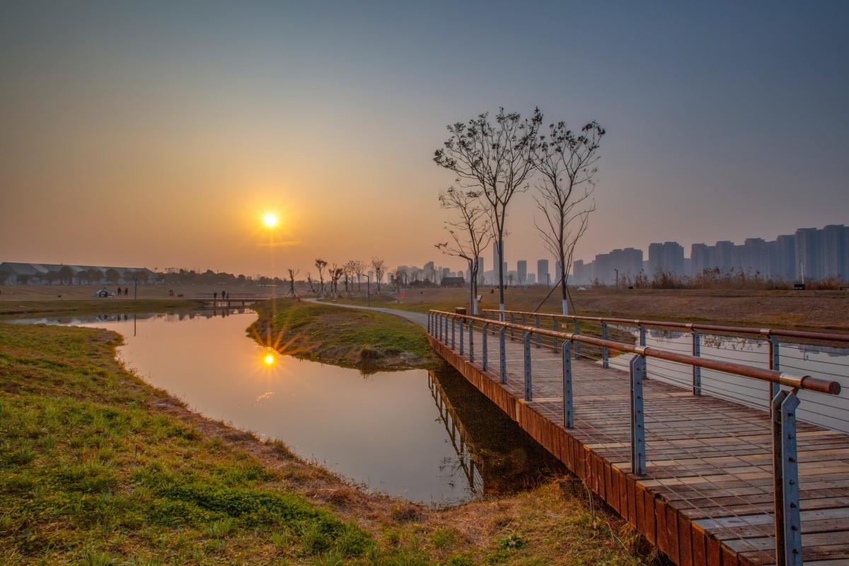 洋湖湿地公园风景 16