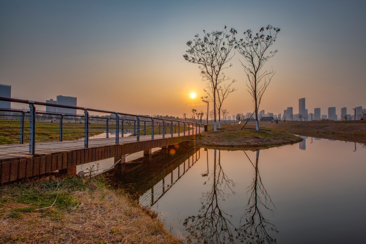 洋湖湿地公园风景 16